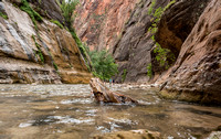 Zion NP - The Narrows