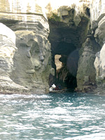 Sea Cave, La Jolla