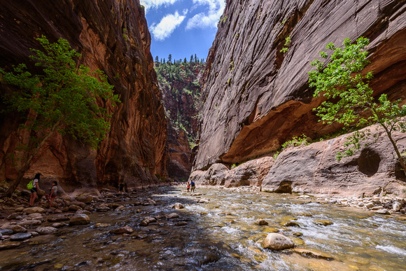 Zion NP - The Narrows