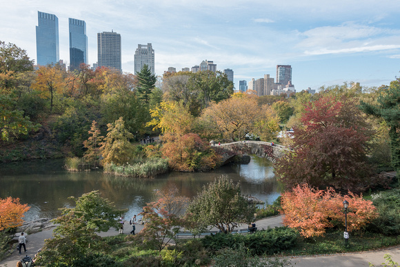 Central Park