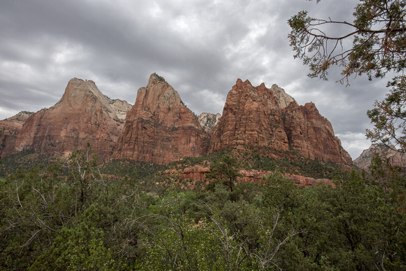 Zion NP